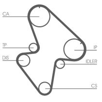 CONTINENTAL CT710K1 - KIT DISTRIBUCION